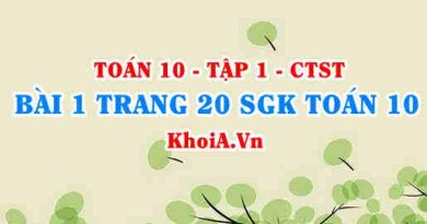 Bài 1 trang 20 SGK Toán 10 tập 1 Chân trời sáng tạo